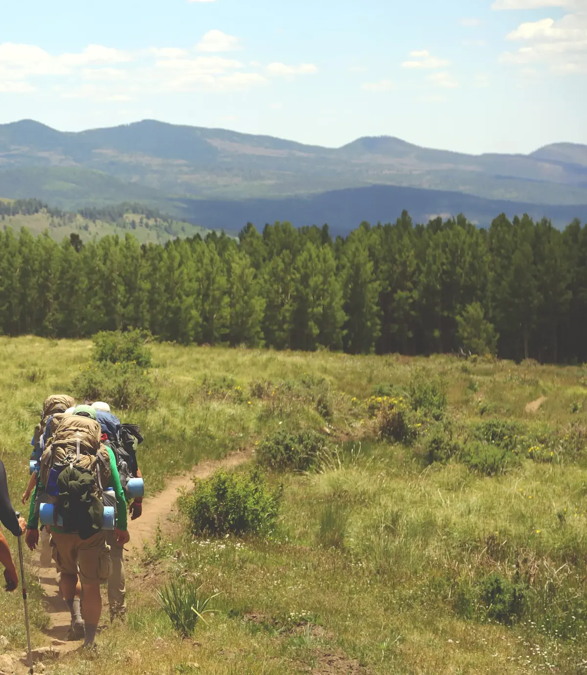 Hikers with packs walking a dirt trail through a meadow